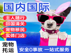 长春航空快递国际宠物托运 【国